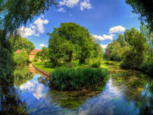 River Itchen by Neil Howard